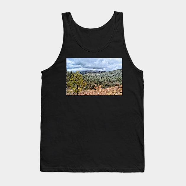 Snow In The Mountains Tank Top by JimDeFazioPhotography